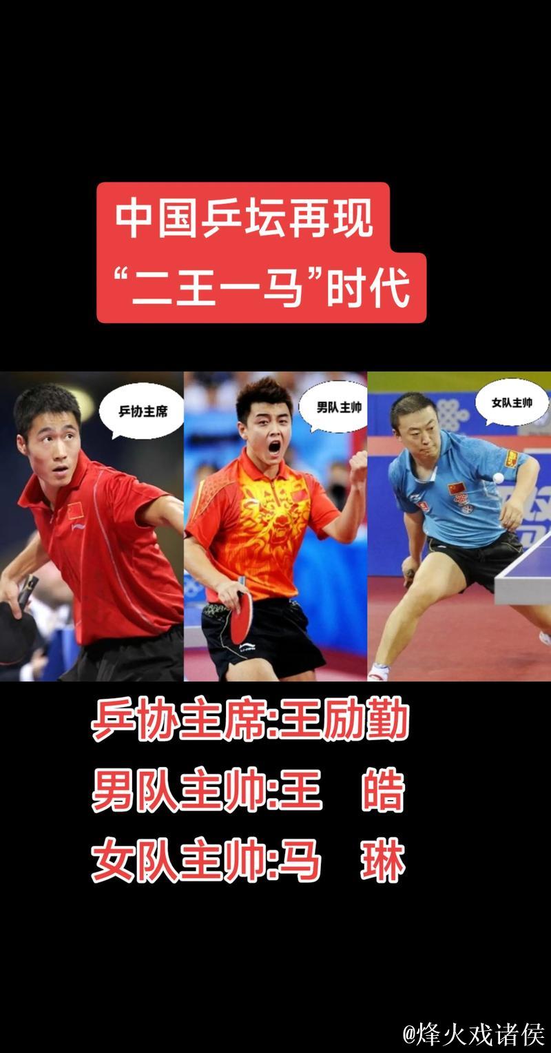 国乒的二王一马时代，王励勤与马琳的精彩对决瞬间，看得真是太过瘾了！